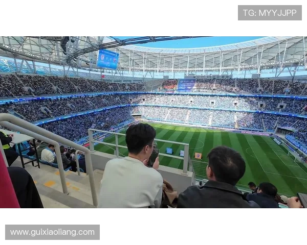 刘敏独家解析足球技巧与战术心得助你提升球技与观赛体验