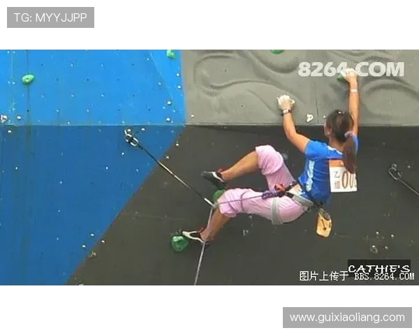 南京攀岩队与武汉攀岩队个人能力对比分析赛后复盘